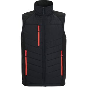 (XS, Black/Classic Red) Regatta Mens Full Zip Gilet (XS, Black/Classic Red) Regatta Mens Full Zip Gilet