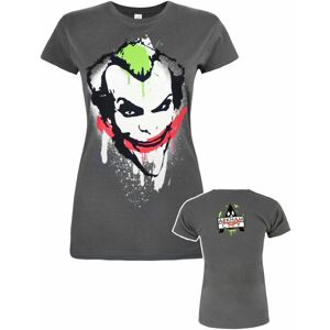 (Large) DC Comics Short Sleeved T-Shirt (Womens Grey) (Large) DC Comics Short Sleeved T-Shirt (Womens Grey)