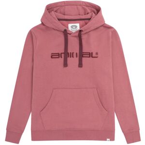 (6 UK, Burgundy) Animal Womens/Ladies Maya Organic Hoodie (6 UK, Burgundy) Animal Womens/Ladies Maya Organic Hoodie