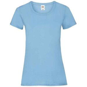 (10 UK, Sky Blue) Fruit of the Loom Womens/Ladies Valueweight Heather Lady Fit T (10 UK, Sky Blue) Fruit of the Loom Womens/Ladies Valueweight Heather Lady Fit T