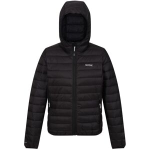 (18 UK, Black) Regatta Womens/Ladies Marizion Hooded Padded Jacket (18 UK, Black) Regatta Womens/Ladies Marizion Hooded Padded Jacket