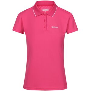(10 UK, Flamingo Pink) Regatta Womens/Ladies Maverick V Polo Shirt (10 UK, Flamingo Pink) Regatta Womens/Ladies Maverick V Polo Shirt