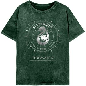 (L, Green) Harry Potter Womens/Ladies Slytherin Constellations Acid Wash T-Shirt (L, Green) Harry Potter Womens/Ladies Slytherin Constellations Acid Wash T-Shirt
