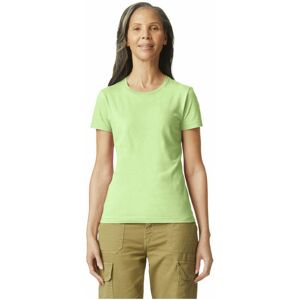 (L, Pistachio) Gildan Womens/Ladies Ringspun Cotton Soft Touch T-Shirt (L, Pistachio) Gildan Womens/Ladies Ringspun Cotton Soft Touch T-Shirt