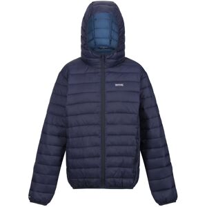 (16 UK, Dark Pimento) Regatta Womens/Ladies Marizion Hooded Padded Jacket (16 UK, Dark Pimento) Regatta Womens/Ladies Marizion Hooded Padded Jacket