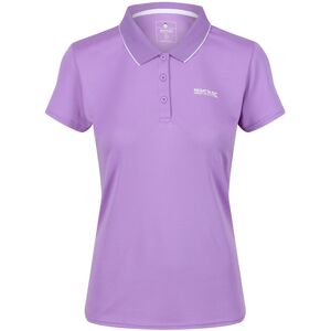 (12 UK, Light Amethys) Regatta Womens/Ladies Maverick V Polo Shirt (12 UK, Light Amethys) Regatta Womens/Ladies Maverick V Polo Shirt