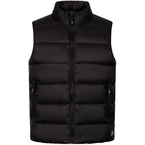 (S, Black) Trespass Womens/Ladies Simone Padded Casual Gilet (S, Black) Trespass Womens/Ladies Simone Padded Casual Gilet