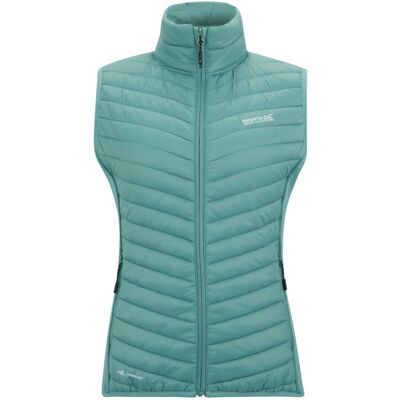 (10 UK, Ivy Moss) Regatta Womens/Ladies Andreson Hybrid Gilet (10 UK, Ivy Moss) Regatta Womens/Ladies Andreson Hybrid Gilet