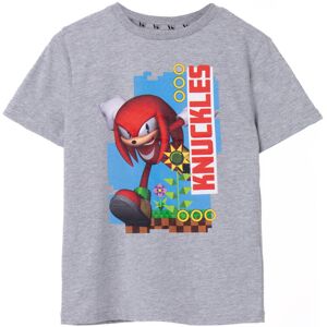 (11-12 Years) Sonic the Hedgehog Short Sleeved T-Shirt (Unisex Kids Grey) (11-12 Years) Sonic the Hedgehog Short Sleeved T-Shirt (Unisex Kids Grey)