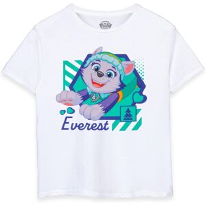 (3-4 Years) Paw Patrol Short Sleeved T-Shirt (Girls White) (3-4 Years) Paw Patrol Short Sleeved T-Shirt (Girls White)