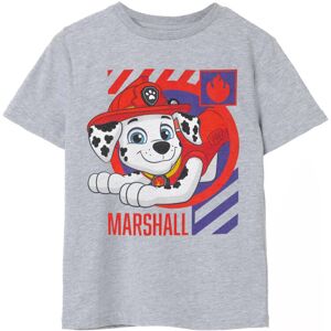 (7-8 Years) Paw Patrol Short Sleeved T-Shirt (Boys Grey) (7-8 Years) Paw Patrol Short Sleeved T-Shirt (Boys Grey)