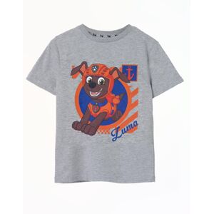 (7-8 Years) Paw Patrol Short Sleeved T-Shirt (Boys Grey) (7-8 Years) Paw Patrol Short Sleeved T-Shirt (Boys Grey)