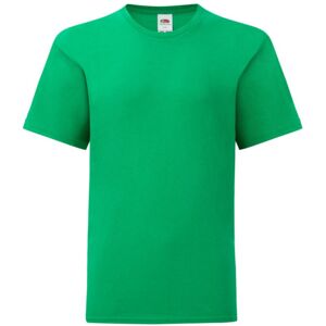 (5-6 Years, Kelly Green) Fruit Of The Loom Boys Iconic T-Shirt (5-6 Years, Kelly Green) Fruit Of The Loom Boys Iconic T-Shirt