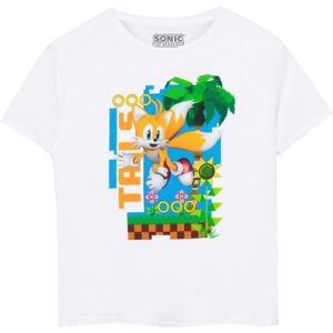 (11-12 Years, White) Sonic The Hedgehog Childrens/Kids Tails Short-Sleeved T-Shi (11-12 Years, White) Sonic The Hedgehog Childrens/Kids Tails Short-Sleeved T-Shi