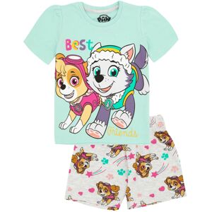 (2-3 Years, Teal/Grey) Paw Patrol Childrens/Kids Skye & Everest Short Pyjama Set (2-3 Years, Teal/Grey) Paw Patrol Childrens/Kids Skye & Everest Short Pyjama Set