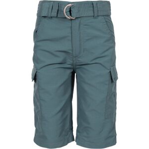 (5-6 Years, Spruce Green) Trespass Childrens/Kids Craftly Shorts (5-6 Years, Spruce Green) Trespass Childrens/Kids Craftly Shorts