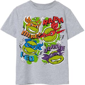 (13-14 Years, Grey Marl) Teenage Mutant Ninja Turtles Childrens/Kids Faces T-Shi (13-14 Years, Grey Marl) Teenage Mutant Ninja Turtles Childrens/Kids Faces T-Shi