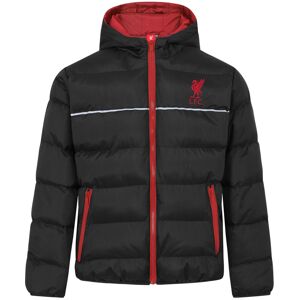 (Black, 2-3 Years) Liverpool FC Official Football Gift Boys Quilted Hooded Winte (Black, 2-3 Years) Liverpool FC Official Football Gift Boys Quilted Hooded Winte
