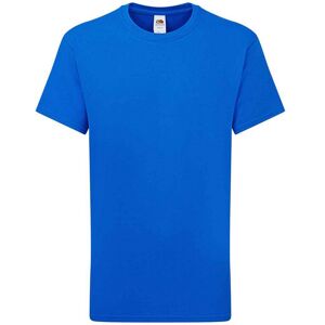 (14-15 Years, Royal Blue) Fruit of the Loom Childrens/Kids Iconic 195 Premium T- (14-15 Years, Royal Blue) Fruit of the Loom Childrens/Kids Iconic 195 Premium T-