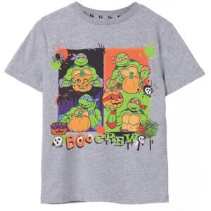 (3-4 Years, Grey) Teenage Mutant Ninja Turtles Childrens/Kids Boo Crew Marl T-Sh (3-4 Years, Grey) Teenage Mutant Ninja Turtles Childrens/Kids Boo Crew Marl T-Sh