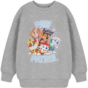 (2-3 Years) Paw Patrol Sweatshirt (Unisex Kids Grey) (2-3 Years) Paw Patrol Sweatshirt (Unisex Kids Grey)