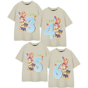 (2-3 Years) Paw Patrol Short Sleeved T-Shirt (Boys Beige) (2-3 Years) Paw Patrol Short Sleeved T-Shirt (Boys Beige)