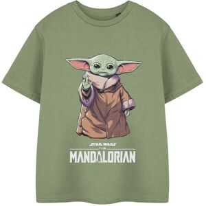 Star Wars The Mandalorian Short Sleeved T-Shirt (Boys Green) Star Wars The Mandalorian Short Sleeved T-Shirt (Boys Green)