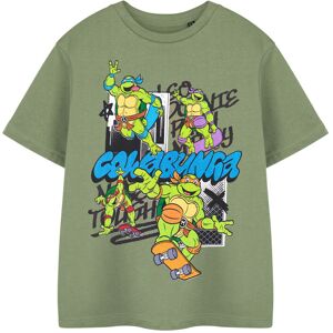 Teenage Mutant Ninja Turtles Short Sleeved T-Shirt (Boys Green) Teenage Mutant Ninja Turtles Short Sleeved T-Shirt (Boys Green)
