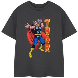 (13-14 Years) Marvel Short Sleeved T-Shirt (Boys Grey) (13-14 Years) Marvel Short Sleeved T-Shirt (Boys Grey)