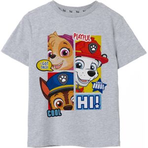 (7-8 Years) Paw Patrol Short Sleeved T-Shirt (Boys Grey) (7-8 Years) Paw Patrol Short Sleeved T-Shirt (Boys Grey)