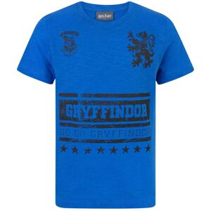 (13-14 Years) Harry Potter Short Sleeved T-Shirt (Boys Blue) (13-14 Years) Harry Potter Short Sleeved T-Shirt (Boys Blue)