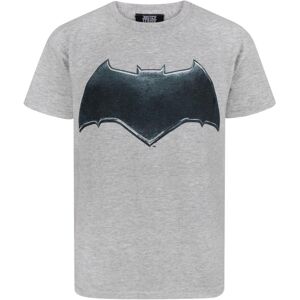 (9-10 Years) DC Comics Short Sleeved T-Shirt (Boys Multicoloured) (9-10 Years) DC Comics Short Sleeved T-Shirt (Boys Multicoloured)
