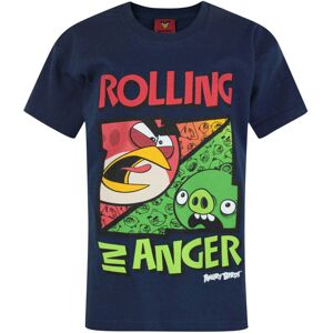 (3-4 Years) Angry Birds Short Sleeved T-Shirt (Boys Blue) (3-4 Years) Angry Birds Short Sleeved T-Shirt (Boys Blue)