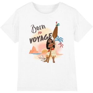 Disney (5-6 Years, White) Moana Childrens/Kids Born To Voyage T-Shirt Disney (5-6 Years, White) Moana Childrens/Kids Born To Voyage T-Shirt