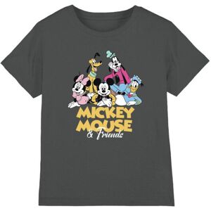 (12-13 Years, Charcoal) Disney Childrens/Kids Mickey Mouse Friends T-Shirt (12-13 Years, Charcoal) Disney Childrens/Kids Mickey Mouse Friends T-Shirt