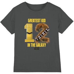 (12-13 Years, Charcoal) Star Wars Childrens/Kids Greatest Kid C3PO R2-D2 T-Shirt (12-13 Years, Charcoal) Star Wars Childrens/Kids Greatest Kid C3PO R2-D2 T-Shirt