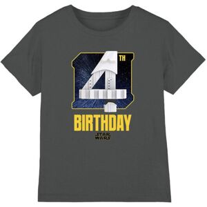 (3-4 Years, Charcoal) Star Wars Childrens/Kids Stormtrooper Space 4th Birthday T (3-4 Years, Charcoal) Star Wars Childrens/Kids Stormtrooper Space 4th Birthday T