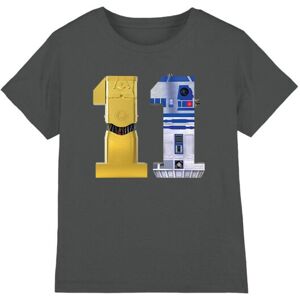 (5-6 Years, Charcoal) Star Wars Childrens/Kids 11 C3PO R2-D2 T-Shirt (5-6 Years, Charcoal) Star Wars Childrens/Kids 11 C3PO R2-D2 T-Shirt