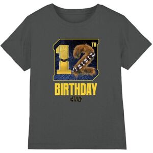 (5-6 Years, Charcoal) Star Wars Childrens/Kids C3PO Chewbacca Space 12th Birthda (5-6 Years, Charcoal) Star Wars Childrens/Kids C3PO Chewbacca Space 12th Birthda