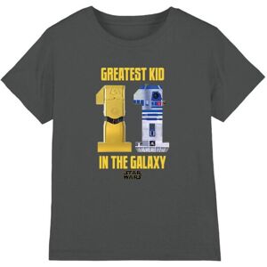 (12-13 Years, Charcoal) Star Wars Childrens/Kids Greatest Kid C3PO R2-D2 T-Shirt (12-13 Years, Charcoal) Star Wars Childrens/Kids Greatest Kid C3PO R2-D2 T-Shirt