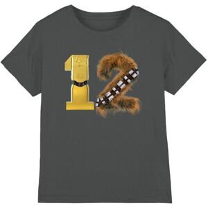 (5-6 Years, Charcoal) Star Wars Childrens/Kids 12 C3PO Chewbacca T-Shirt (5-6 Years, Charcoal) Star Wars Childrens/Kids 12 C3PO Chewbacca T-Shirt