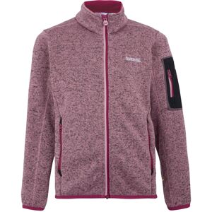 (11-12 Years, Lilas/Beaujolais) Regatta Childrens/Kids Newhill Fleece Jacket (11-12 Years, Lilas/Beaujolais) Regatta Childrens/Kids Newhill Fleece Jacket