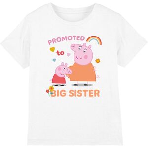 (12-13 Years, White) Peppa Pig Childrens/Kids Promoted To Big Sister T-Shirt (12-13 Years, White) Peppa Pig Childrens/Kids Promoted To Big Sister T-Shirt