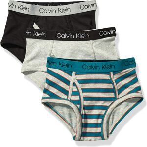 Calvin Klein Kids Boys' Modern Cotton Brief Underwear 3-Pack, Sea Green Stripe/H Calvin Klein Kids Boys' Modern Cotton Brief Underwear 3-Pack, Sea Green Stripe/H
