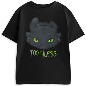 (13-14 Years) How to Train Your Dragon Short Sleeved T-Shirt (Boys Black) (13-14 Years) How to Train Your Dragon Short Sleeved T-Shirt (Boys Black)