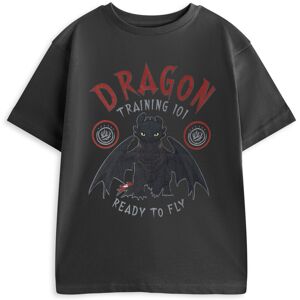 (11-12 Years) How to Train Your Dragon Short Sleeved T-Shirt (Boys Grey) (11-12 Years) How to Train Your Dragon Short Sleeved T-Shirt (Boys Grey)