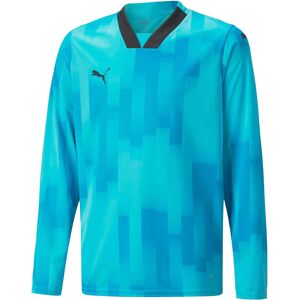 (11-12 Years, Blue) Puma Childrens/Kids Teamtarget Long-Sleeved Goalkeeper Jerse (11-12 Years, Blue) Puma Childrens/Kids Teamtarget Long-Sleeved Goalkeeper Jerse
