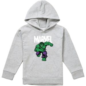 (12-13 Years, Athletic Heather) Marvel Childrens/Kids Hulk Pixel Pull Over Hoodi (12-13 Years, Athletic Heather) Marvel Childrens/Kids Hulk Pixel Pull Over Hoodi