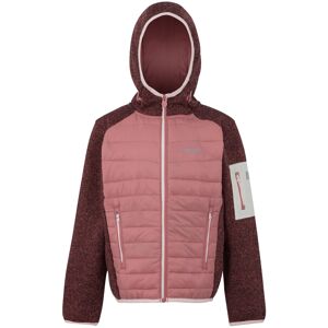(11-12 Years, Dusty Rose) Regatta Childrens/Kids Newhill Hybrid Jacket (11-12 Years, Dusty Rose) Regatta Childrens/Kids Newhill Hybrid Jacket