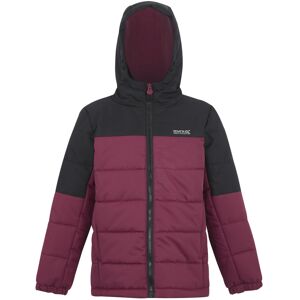 (13 Years, Black/Dark Pimento) Regatta Childrens/Kids Lofthouse Insulated Jacket (13 Years, Black/Dark Pimento) Regatta Childrens/Kids Lofthouse Insulated Jacket